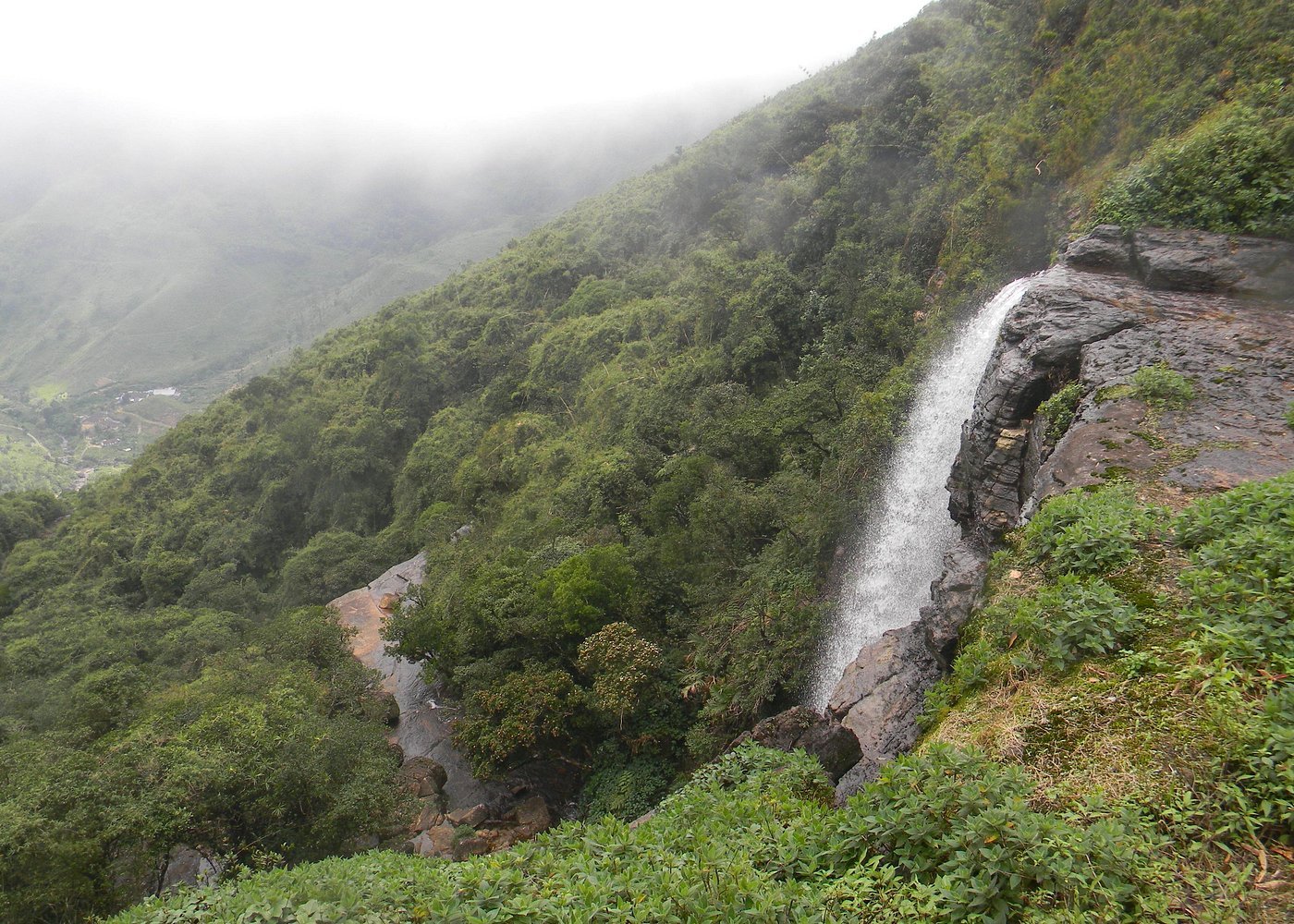 Knuckles Mountain Range